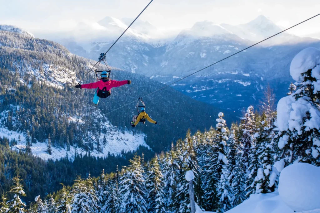 Whistler limo